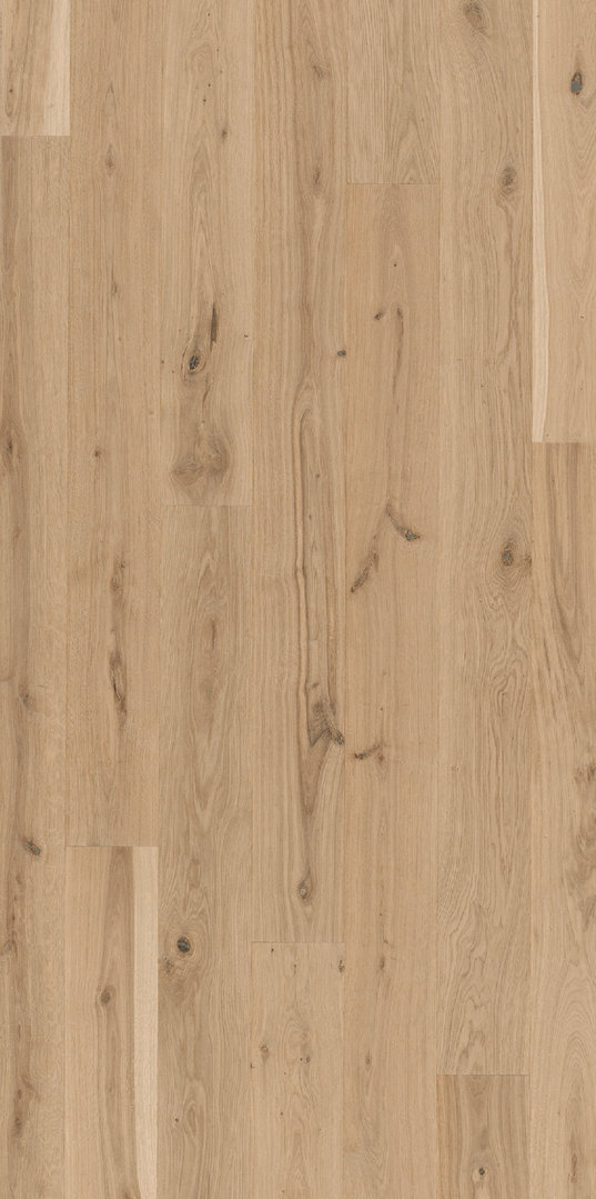 Parador Parquet Basic 11-5 Rustikal Oak White natural oil 1-strip M4V