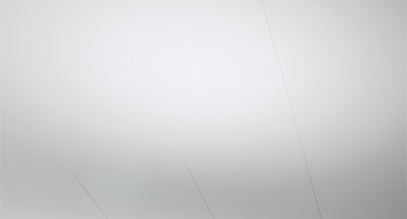 Parador Paneles decorativos de pared/techo RapidoClick Blanco brillo intenso 2050x223