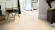 Tarkett Parquet Shade Nature Frêne Linen Blanc 1 frise XL M2V Tarkett Parquet Shade Nature Frêne Linen Blanc 1 frise XL M2V