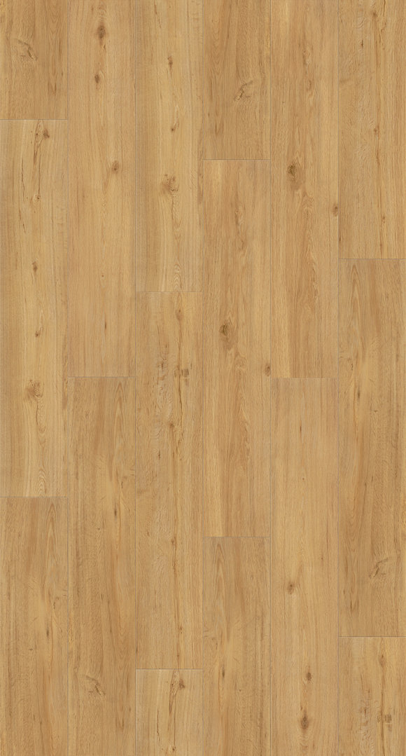 Parador Vinyle Basic 4.3 Chêne naturel 1 frise
