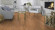 Tarkett Vinylboden Starfloor Classic Natural Erable Planke