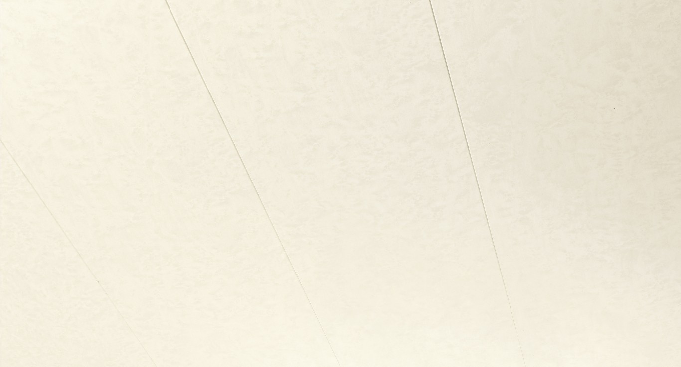 Parador Wand/Decke Dekorpaneele RapidoClick glatt Romana 1280x223