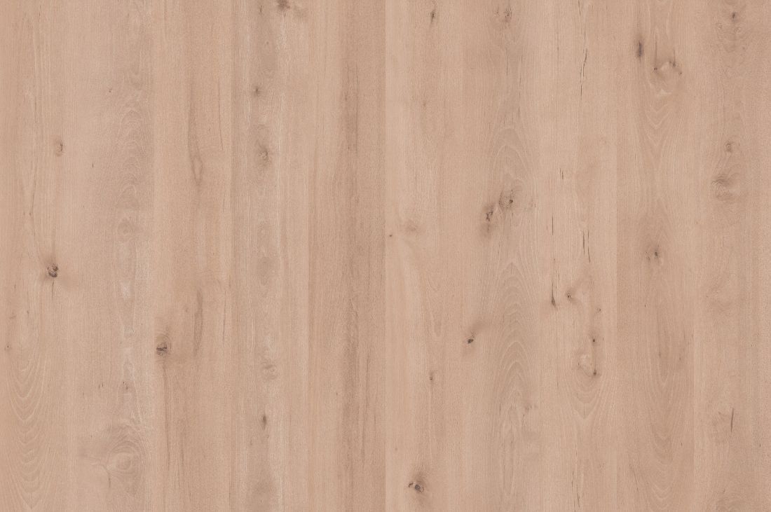 Meister Laminat Premium LC 200 S Micala Königsbuche 6388 Landhausdiele