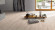 Parador Laminate Basic 400 Baltic pine 1-strip