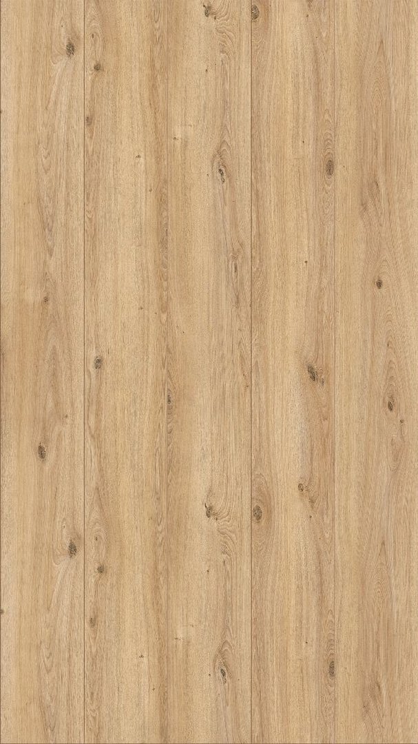 Meister Design flooring Tecara DD 350 S Natural oak lively 6973 1-strip 4V