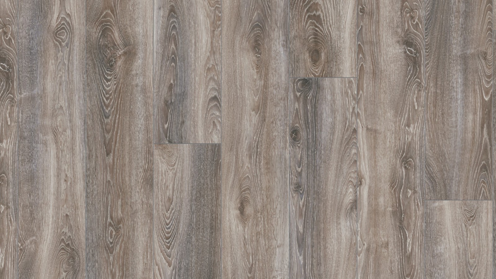 Stratifié Wide Plus Chêne Highland Titane D4796 1 frise 4V Largeur 244mm