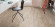 HARO Design flooring DISANO Classic Holm Oak Creme 1-strip XL 4V