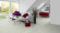 Tarkett Vinylboden Starfloor Click 30 Snow Washed Pine Planke M4V Tarkett Vinylboden Starfloor Click 30 Snow Washed Pine Planke M4V