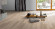 Parador Vinyl flooring Basic 4.3 Oak Royal light-limed 1-strip Parador Vinyl flooring Basic 4.3 Oak Royal light-limed 1-strip