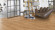 Parador Laminate Basic 400 Apple bernstein 2-strip Parador Laminate Basic 400 Apple bernstein 2-strip