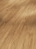 Parador Laminate Basic 400 Apple bernstein 2-strip Parador Laminate Basic 400 Apple bernstein 2-strip