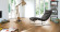 Parador Laminate Basic 400 Apple bernstein 2-strip Parador Laminate Basic 400 Apple bernstein 2-strip