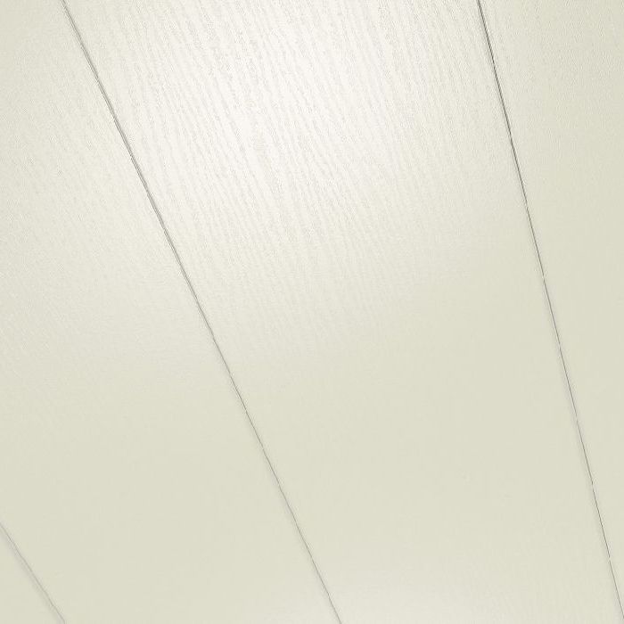 Parador Wand/Decke Dekorpaneele RapidoClick glänzend geplankt Esche Weiß 2050x223 main product photo