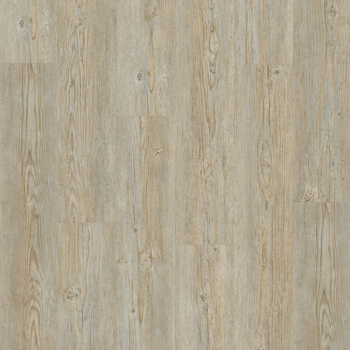 Tarkett Design flooring Starfloor Click 55 Brushed Pine Grey Plank M4V main product photo
