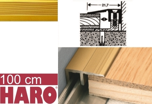 HARO Allround Abschlussprofil 100 cm Aluminium eloxiert Typ 387 L/P Gold main product photo