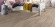 HARO Design flooring DISANO Classic Holm Oak Creme 1-strip XL 4V HARO Design flooring DISANO Classic Holm Oak Creme 1-strip XL 4V