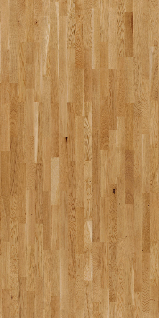 Parador Parquet Basic 11-5 Rustikal Oak Matt lacquer 3-strip