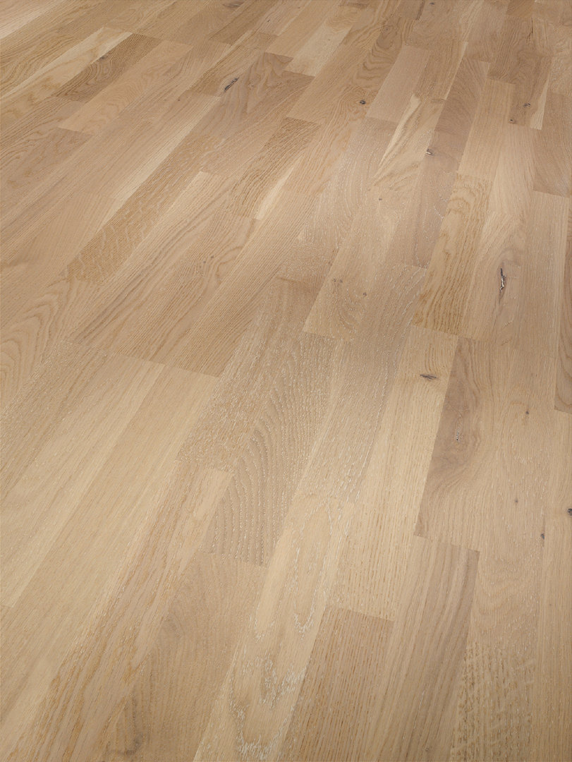 Parador Parquet Basic 11-5 Rustikal Oak White Matt lacquer 3-strip