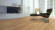 Tarkett Parquet Pure Birch 3-strip Tarkett Parquet Pure Birch 3-strip