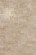 Wicanders Korkboden cork Pure Identity Champagne Fliese 6mm 4V Wicanders Korkboden cork Pure Identity Champagne Fliese 6mm 4V