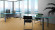 Tarkett Designboden iD Inspiration Loose-Lay Natural Elegant Oak Planke Tarkett Designboden iD Inspiration Loose-Lay Natural Elegant Oak Planke