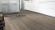 Tarkett Vinylboden Starfloor Click 30 Light Grey Smoked Oak Planke M4V