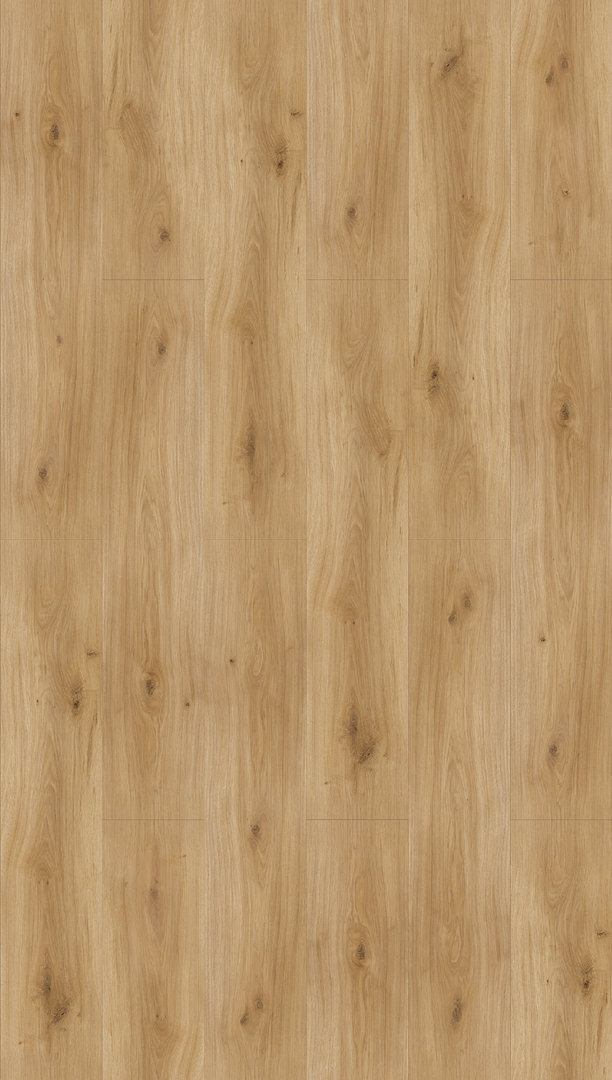 Parador Laminate Basic 600 Oak Horizont natural Broad wide plank 4V