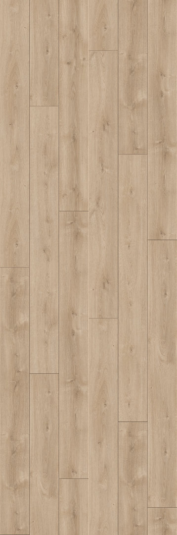 Parador Laminat Trendtime 6 Eiche Avant Geschliffen Schlossdiele 4V