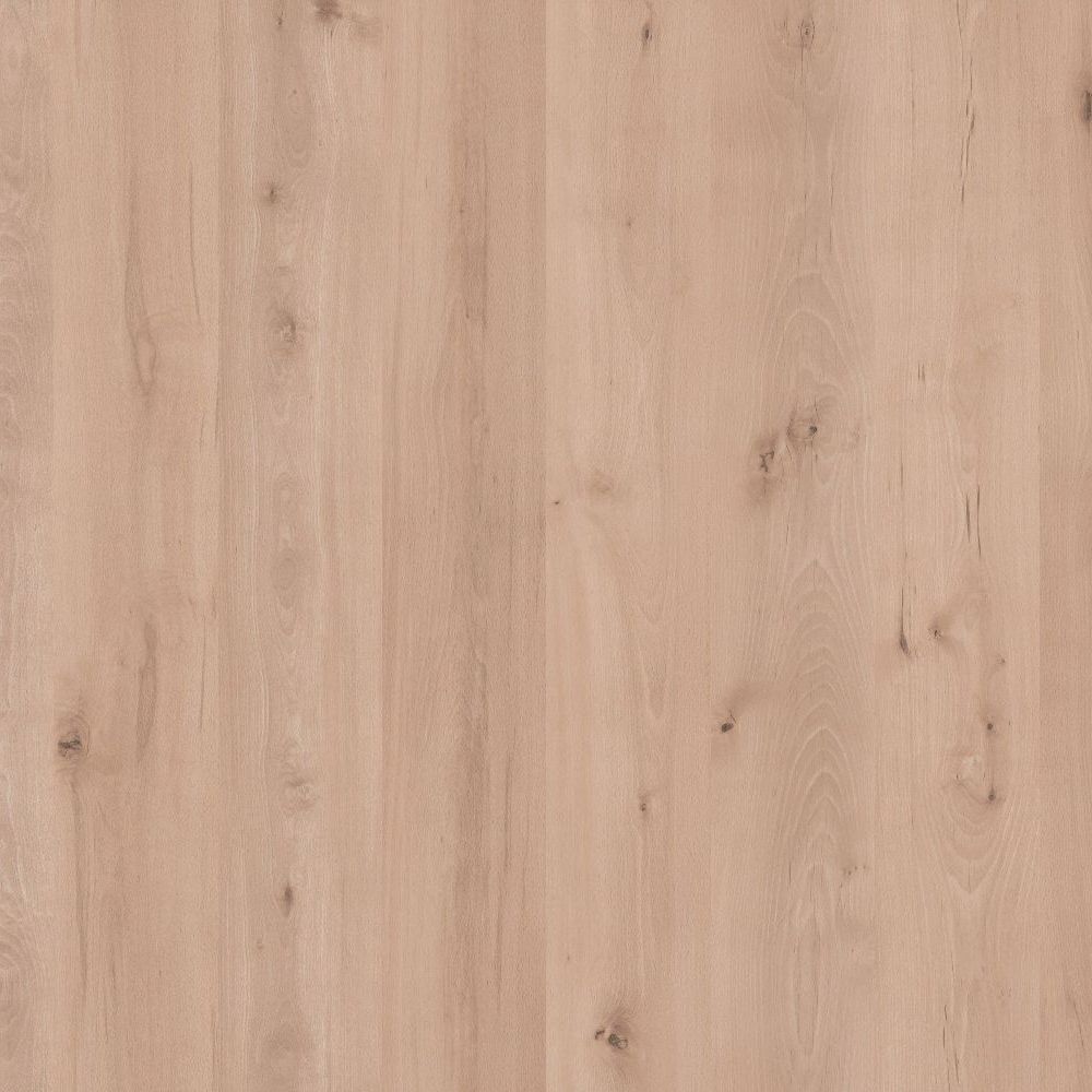 Meister Laminat Premium LC 200 S Micala Königsbuche 6388 Landhausdiele