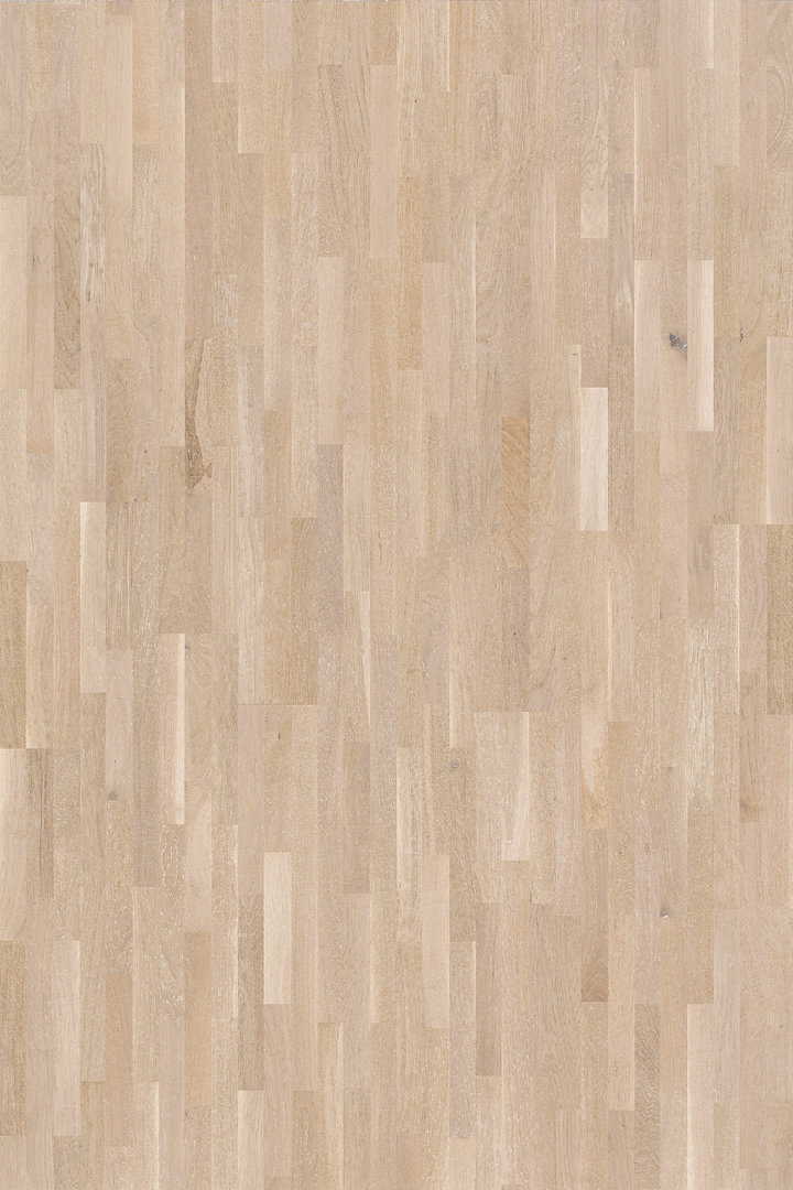 Parador Parquet Basic 11-5 Rustikal Oak White Matt lacquer 3-strip