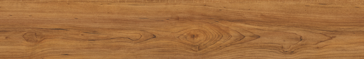 Tarkett Vinylboden Starfloor Classic Natural Erable Planke