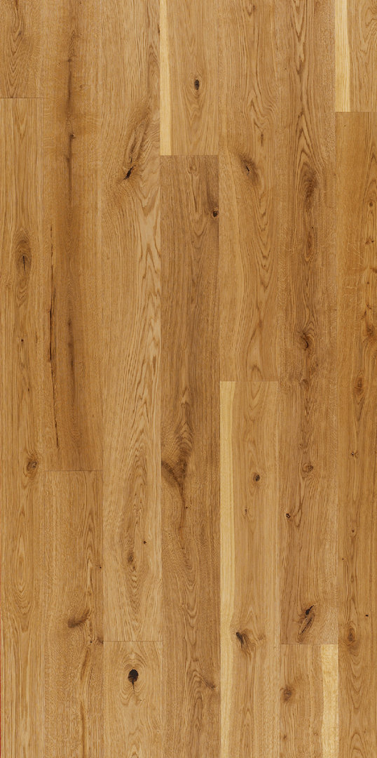 Parador Parquet Basic 11-5 Rustikal Oak brushed Natural oil 1-strip M4V
