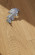 Parador Parqué Trendtime 6 Natur Roble arena wavescraped 1 lama 4V Parador Parqué Trendtime 6 Natur Roble arena wavescraped 1 lama 4V
