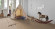 Parador Vinyl flooring Classic 2030 Oak Studioline natural 1-strip Parador Vinyl flooring Classic 2030 Oak Studioline natural 1-strip