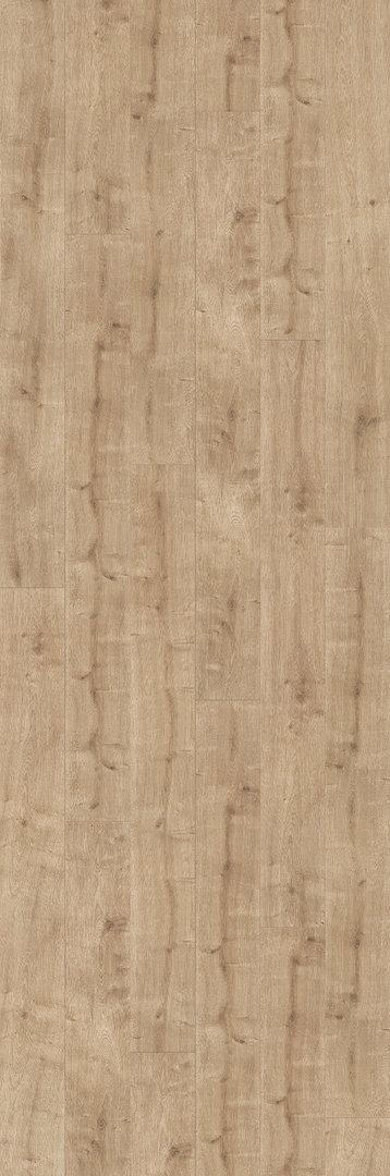 Suelo laminado de Parador Basic 600 Roble Pulido Lama 4V