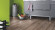 Laminat Durable Rip Oak D3075 1-Stab Landhausdiele 4V Breite 188mm Laminat Durable Rip Oak D3075 1-Stab Landhausdiele 4V Breite 188mm