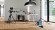 Parador Laminate Basic 400 Apple bernstein 2-strip Parador Laminate Basic 400 Apple bernstein 2-strip