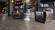 Suelo laminado Flexi Knot Pine D4163 1 Lama 193mm Suelo laminado Flexi Knot Pine D4163 1 Lama 193mm