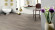 Wineo Designboden 600 Wood Aurelia Grey 1-Stab-Landhausdiele zum kleben Wineo Designboden 600 Wood Aurelia Grey 1-Stab-Landhausdiele zum kleben