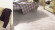 Stratifié Slim Épicéa de Sibérie D2967 1 frise 4V Largeur 157mm Stratifié Slim Épicéa de Sibérie D2967 1 frise 4V Largeur 157mm
