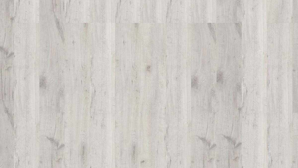 Classen Laminat Home 7 Eiche Amundsen weiß 1-Stab Landhausdiele zum klicken