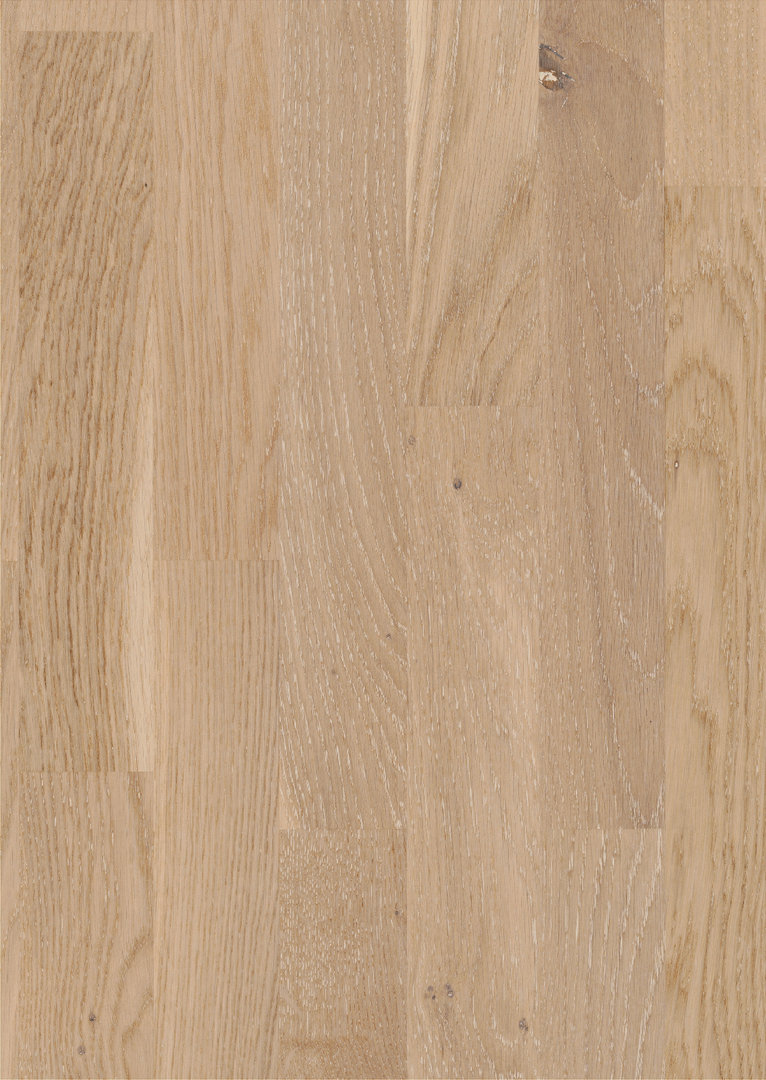Parador Parquet Basic 11-5 Rustikal Oak White Matt lacquer 3-strip