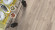 Laminat Durable Pettersson Eiche Beige D4763 1-Stab Landhausdiele 4V Breite 188mm Laminat Durable Pettersson Eiche Beige D4763 1-Stab Landhausdiele 4V Breite 188mm