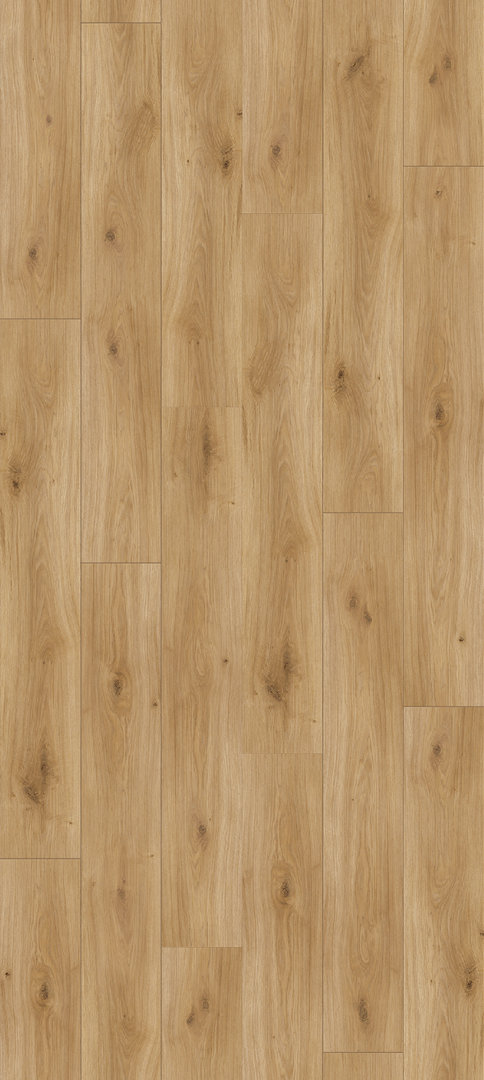Suelo laminado de Parador Basic 200 Roble Horizonte Natur Placa ancha 4V
