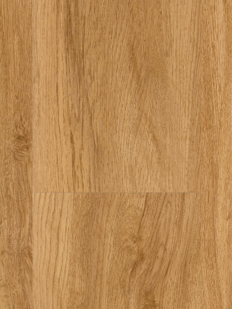 Suelo Vinilo de Parador Basic 4.3 Roble Sierra Natur lama ancha