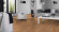 Tarkett Vinylboden Starfloor Classic Natural Erable Planke