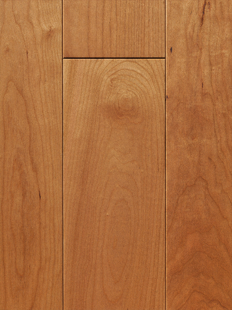 Parador Parquet Trendtime 4 Natur American cherry 1-strip 4V