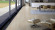 Wicanders Cork flooring Artcomfort Inspired Oak NSP 1-strip Wicanders Cork flooring Artcomfort Inspired Oak NSP 1-strip