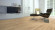 Tarkett Parquet Pure Ash Nature Proteco Lacquer 3-strip Tarkett Parquet Pure Ash Nature Proteco Lacquer 3-strip
