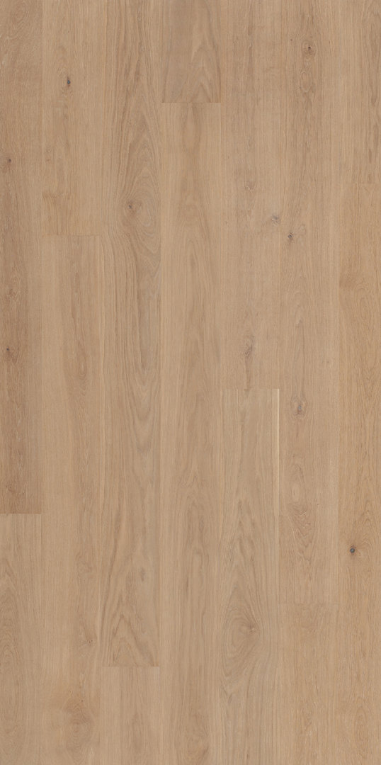 Parador Parquet Classic 3060 Natur Oak White matt lacquer 1-strip M4V